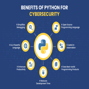 Python & Cyber Security Training Course
